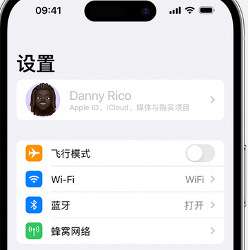 安徽appleID维修服务iPhone设置中Apple ID显示为灰色无法使用 