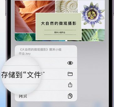 安徽apple维修中心分享iPhone文件应用中存储和找到下载文件