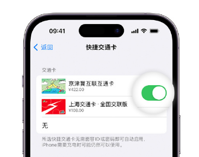 安徽apple维修点分享iPhone上更换Apple Pay快捷交通卡手绘卡面 