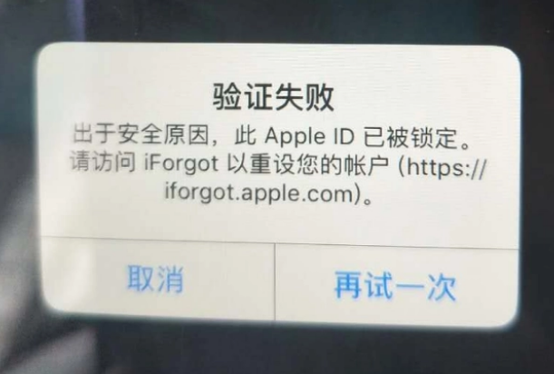 安徽iPhone维修分享iPhone上正常登录或使用AppleID怎么办 