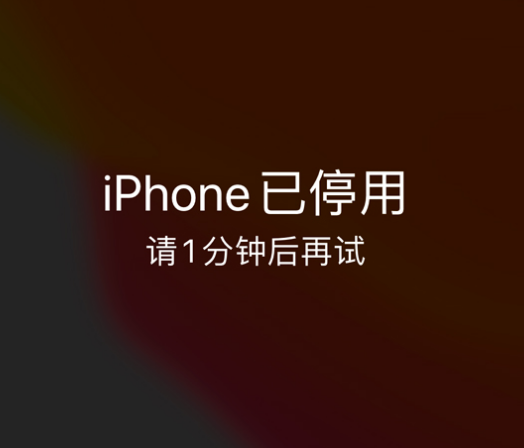 安徽苹果手机维修分享:iPhone 显示“不可用”或“已停用”怎么办？还能保留数据吗？ 