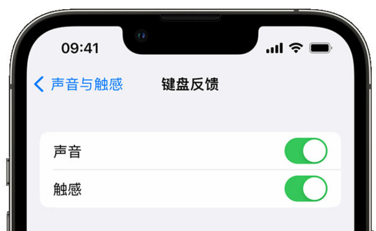 安徽苹果手机维修分享iPhone 14触感键盘使用方法 