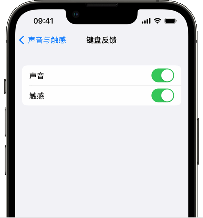 安徽苹果14维修店分享如何在 iPhone 14 机型中使用触感键盘 