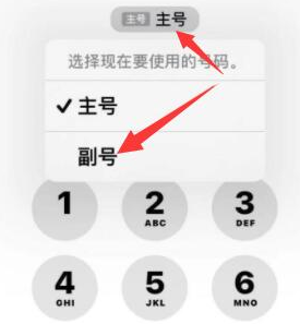 安徽苹果14维修店分享iPhone 14 Pro Max使用副卡打电话的方法 