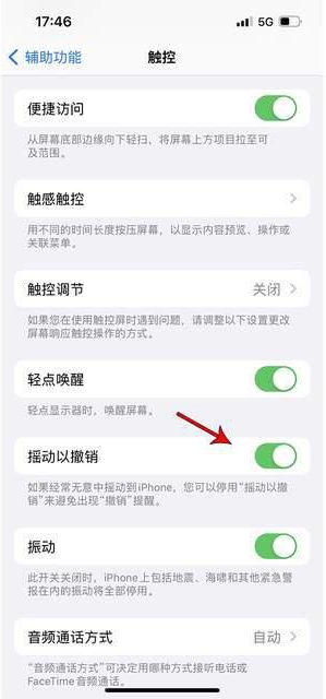 安徽苹果手机维修分享iPhone手机如何设置摇一摇删除文字 