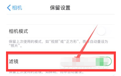 安徽苹果13维修分享iPhone13拍照有绿点是怎么回事 