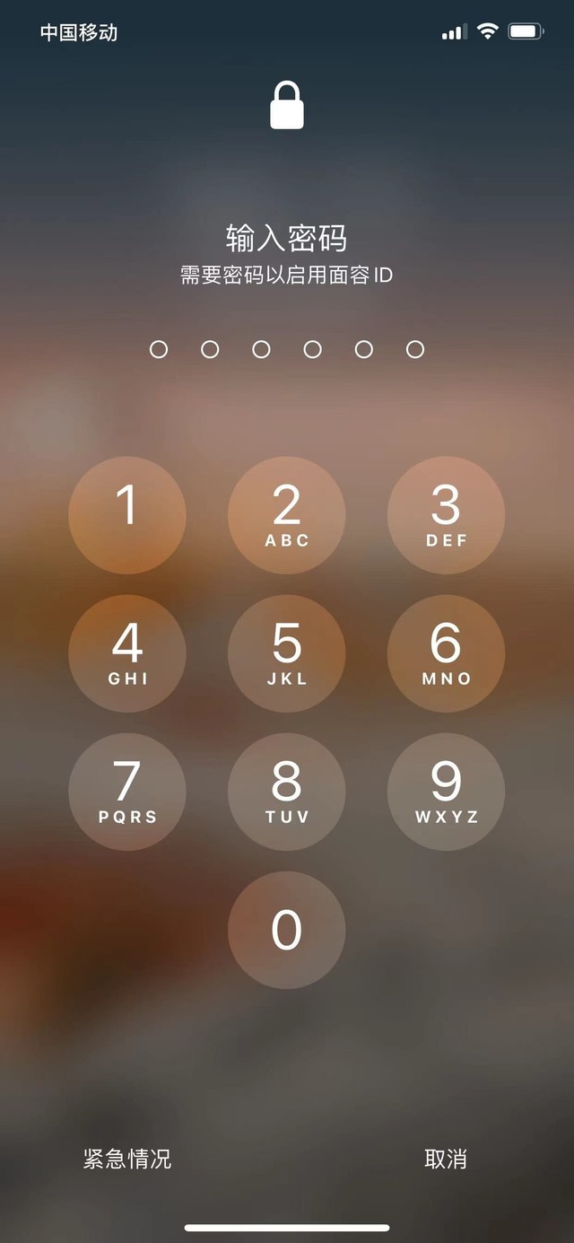 安徽苹果13维修分享iPhone 13加强锁屏功能有什么用 