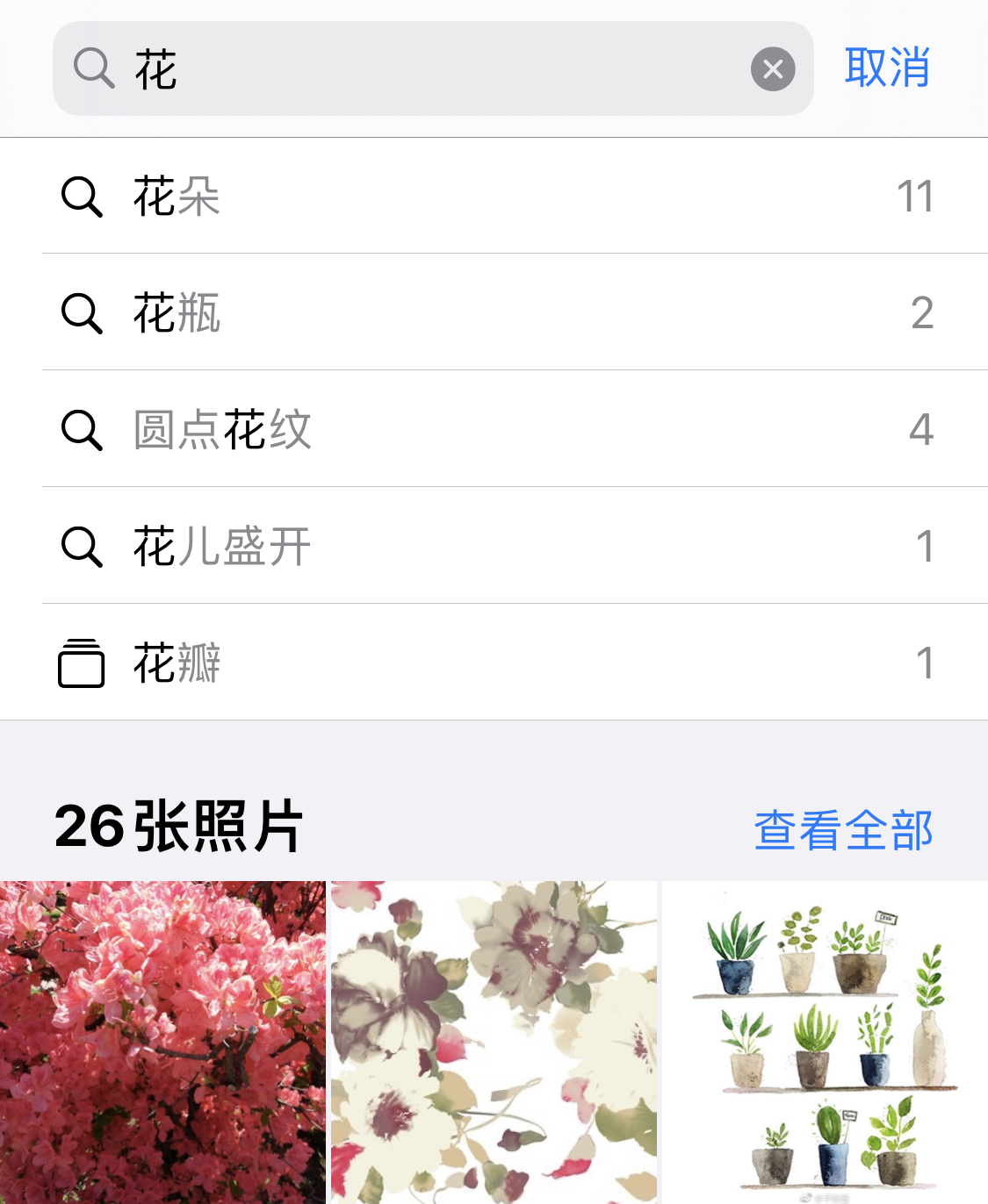 安徽苹果手机维修分享iPhone 小技巧 